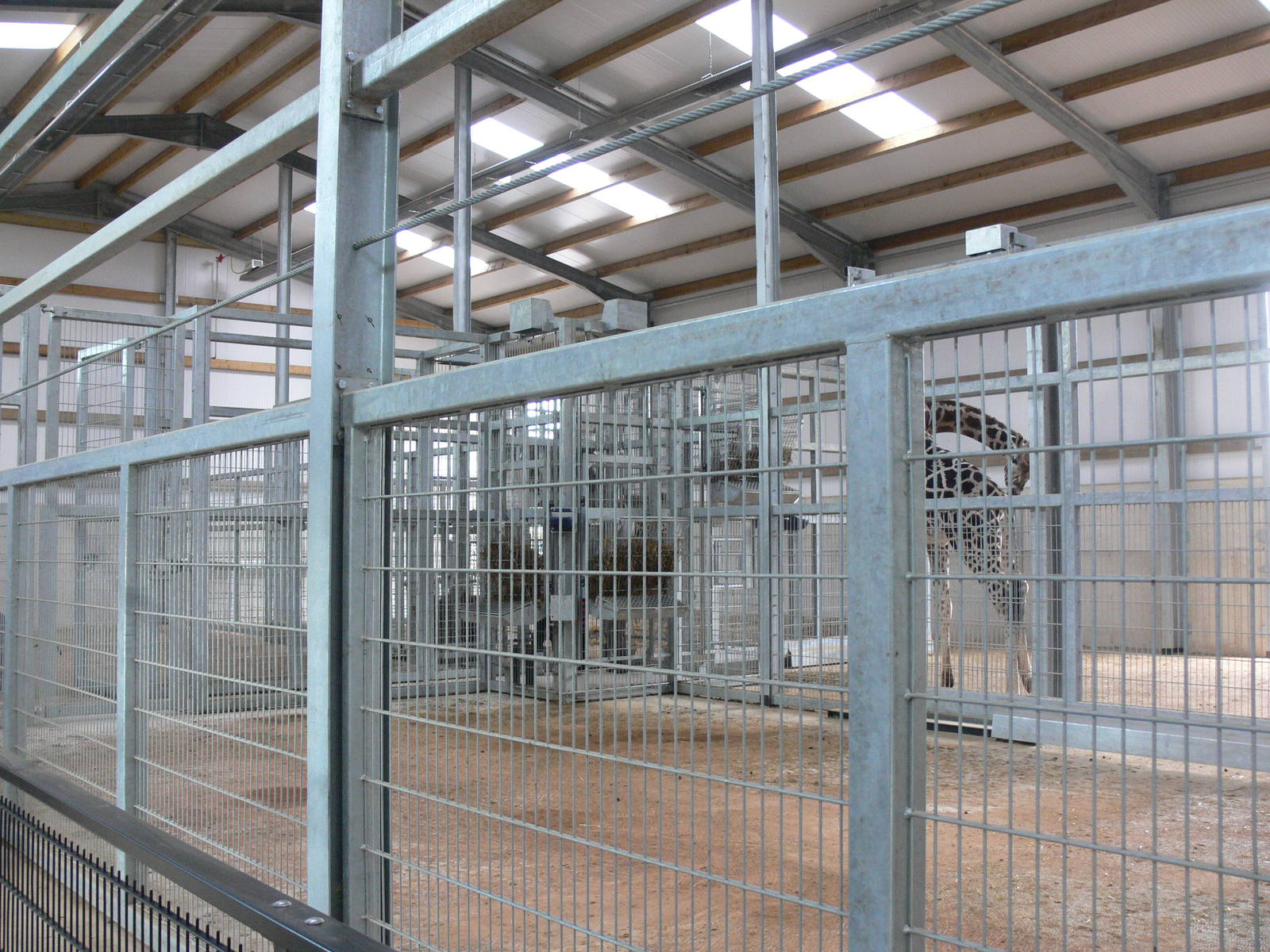 Giraffe house at Yorkshire WP 01/11/12