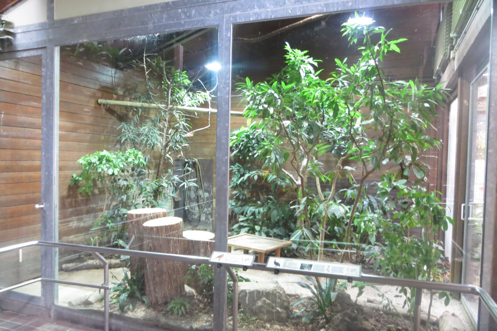 Giraffe House - aviary 011218