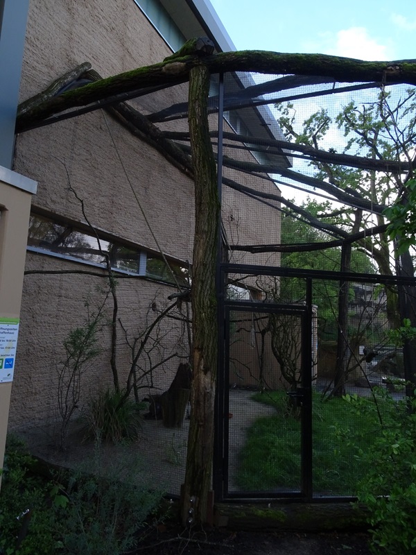 Giraffe house: aviary for grey parrot and crowned lapwing