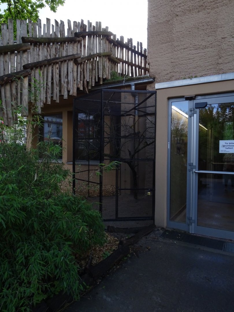 Giraffe house: aviary for village weavers