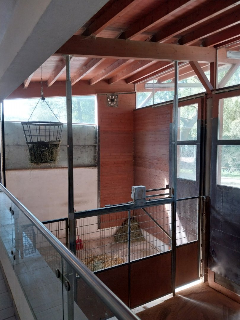 Giraffe House - Bull enclosure