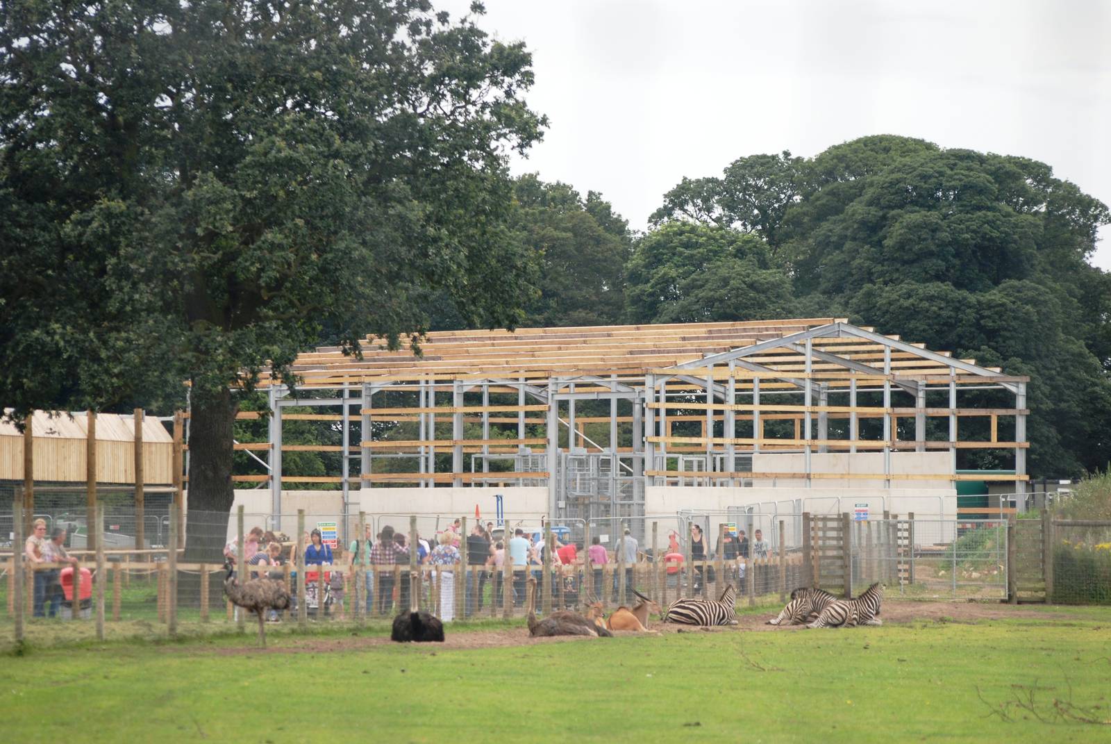 Giraffe House Construction at Yorkshire WP, 05/08/12