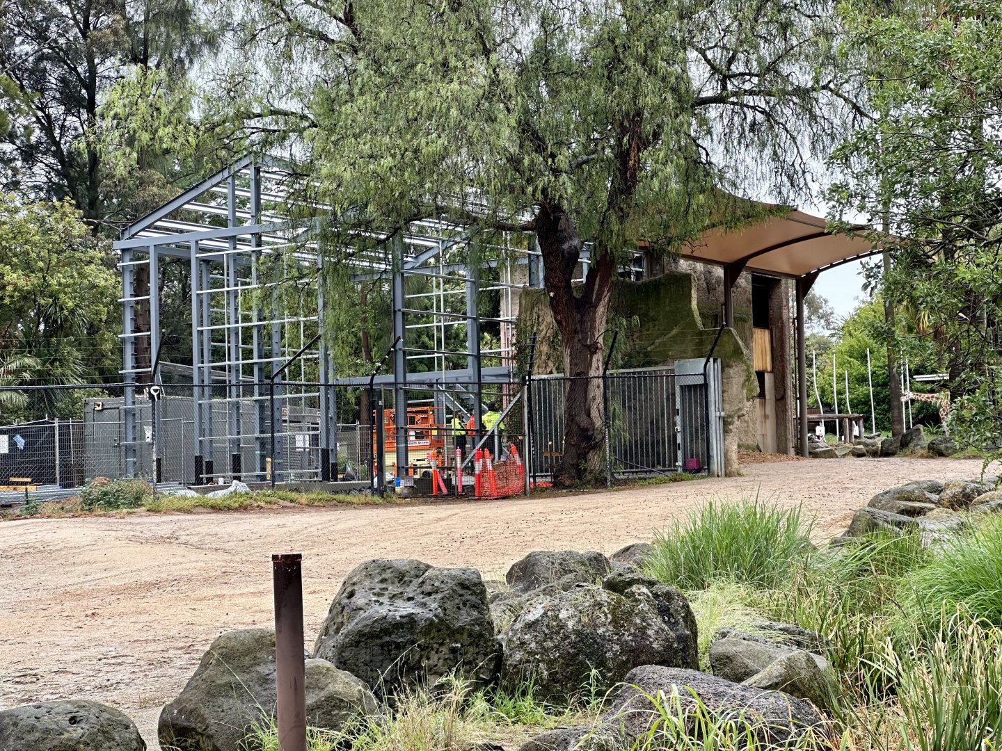 Giraffe House Construction