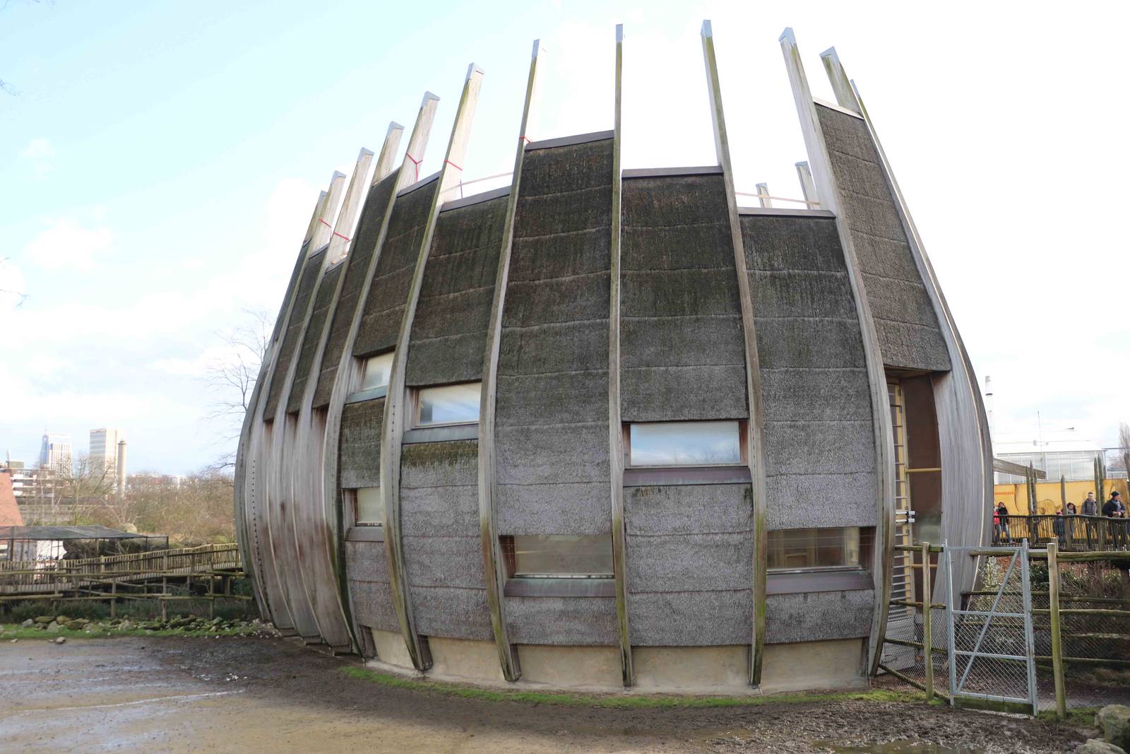 Giraffe house, February 2016