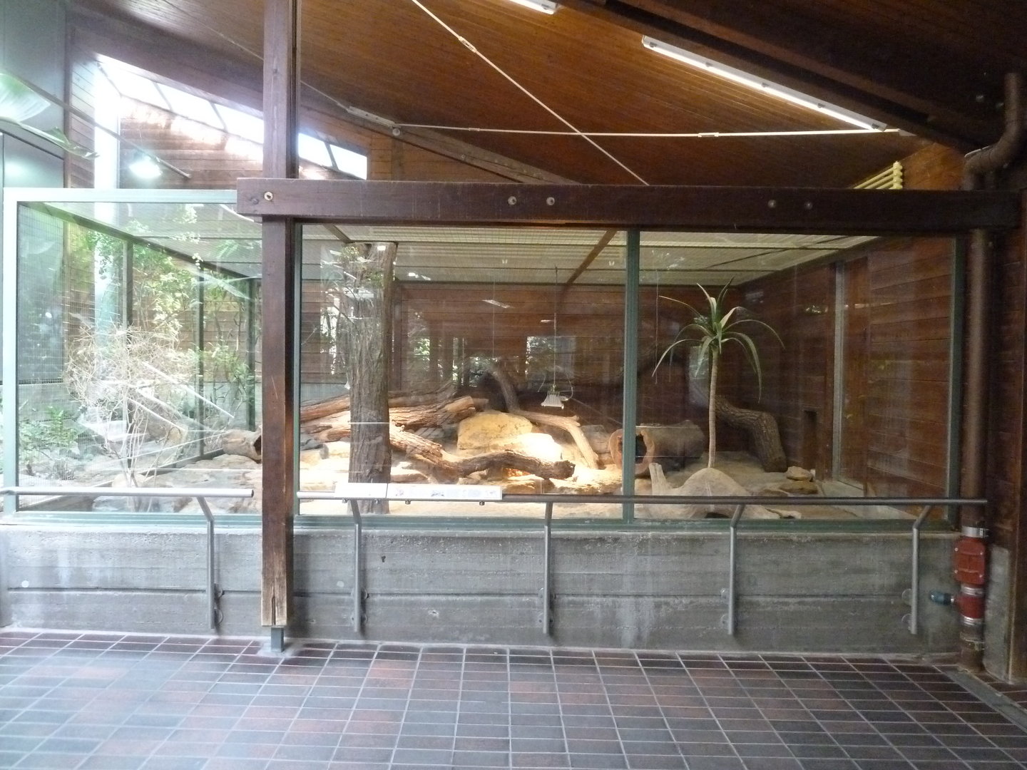 Giraffe house - Fennec enclosure