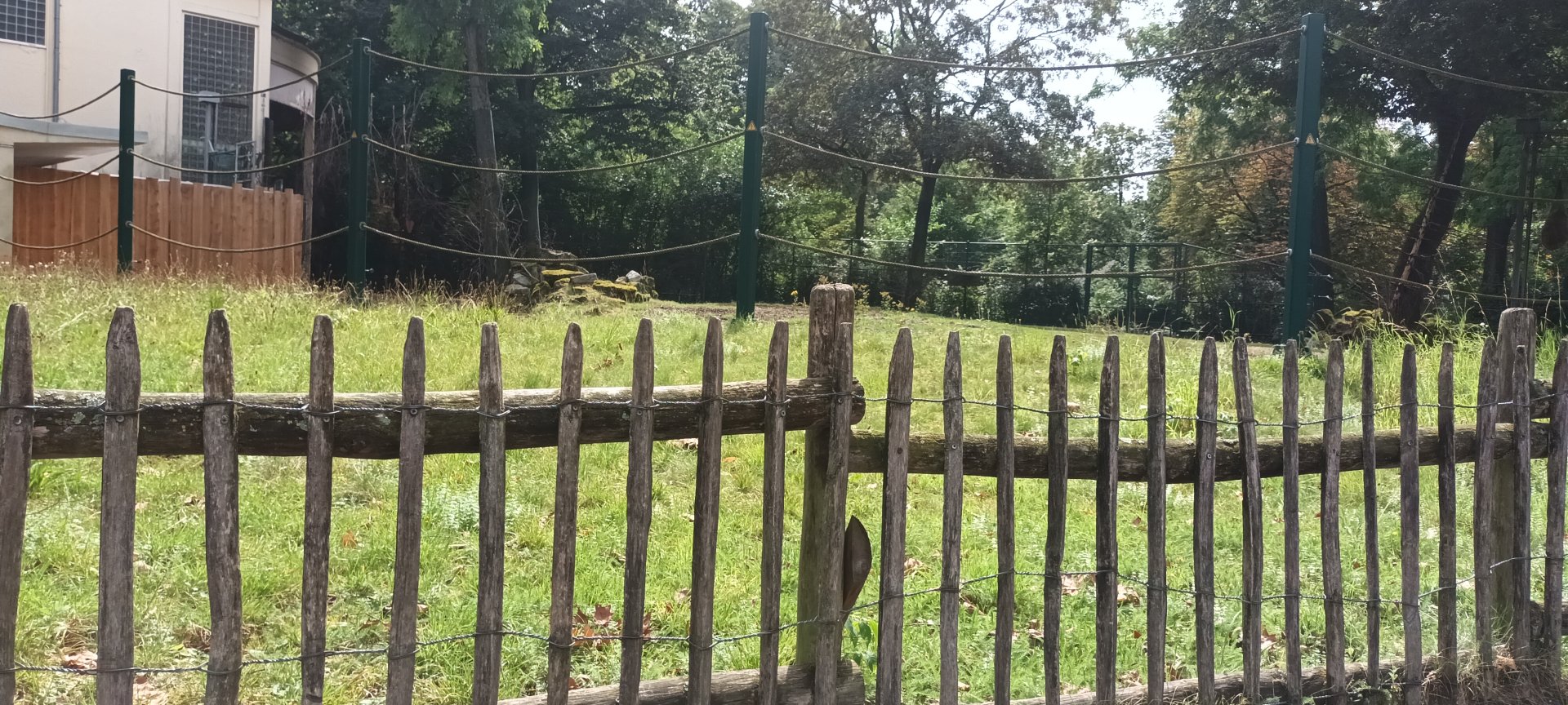 Giraffe House: Generic Giraffe and Reticulated Giraffe Enclosure