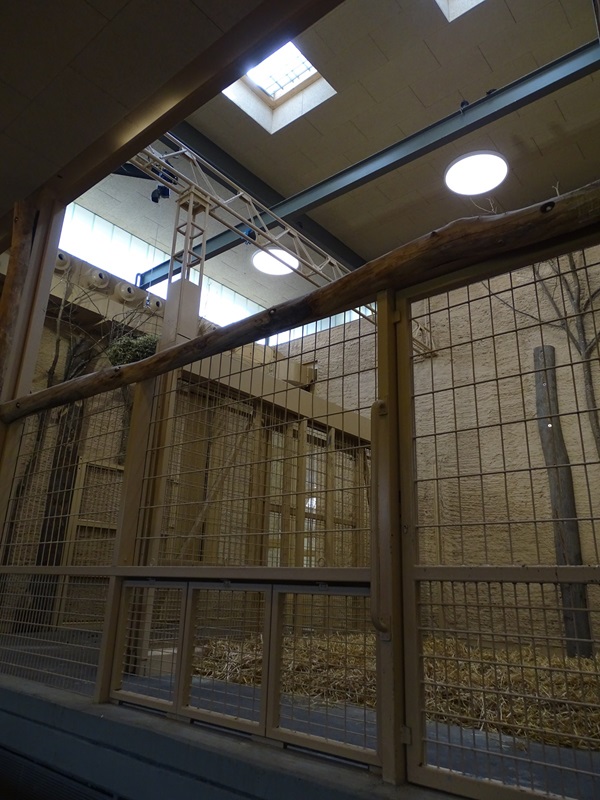 Giraffe House: Giraffe seperation cages