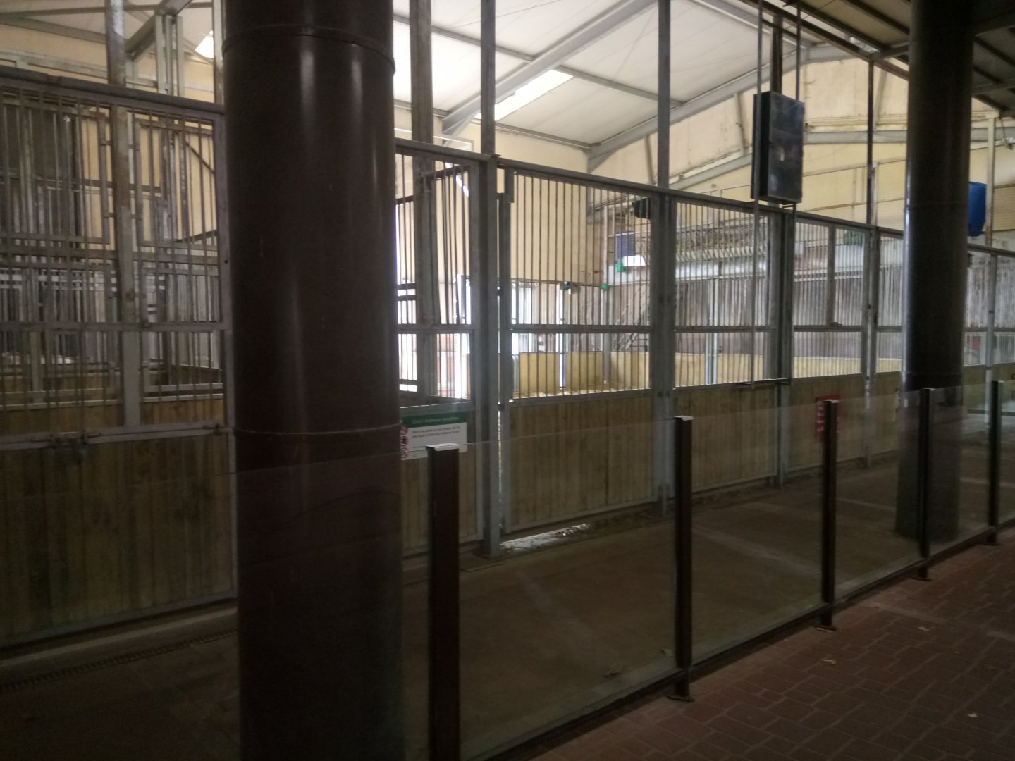 Giraffe House : Giraffes Indoor