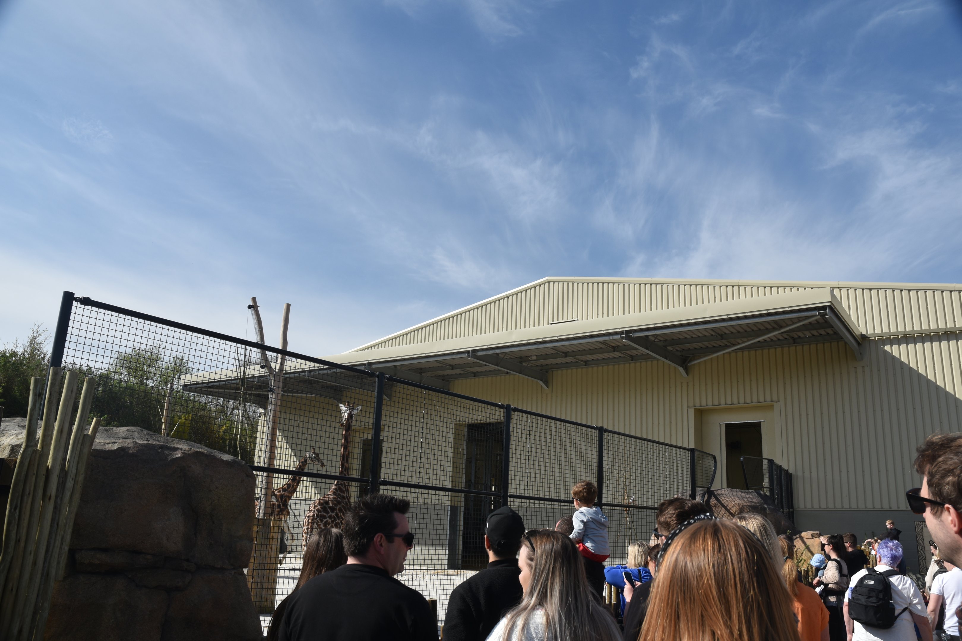 Giraffe House, Heart of Africa at Chester, 12th April 2025