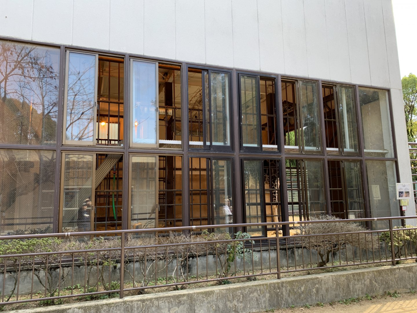 Giraffe House (Himeji City Zoo)