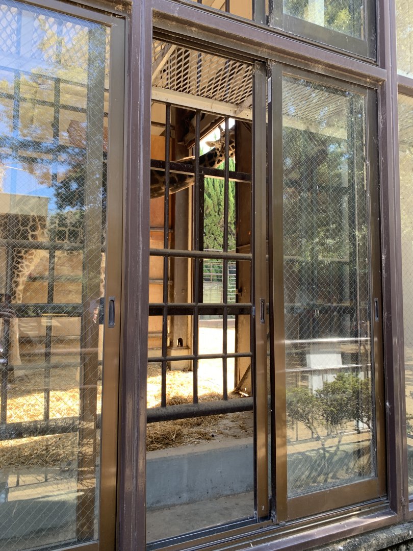 Giraffe House (Himeji City Zoo)