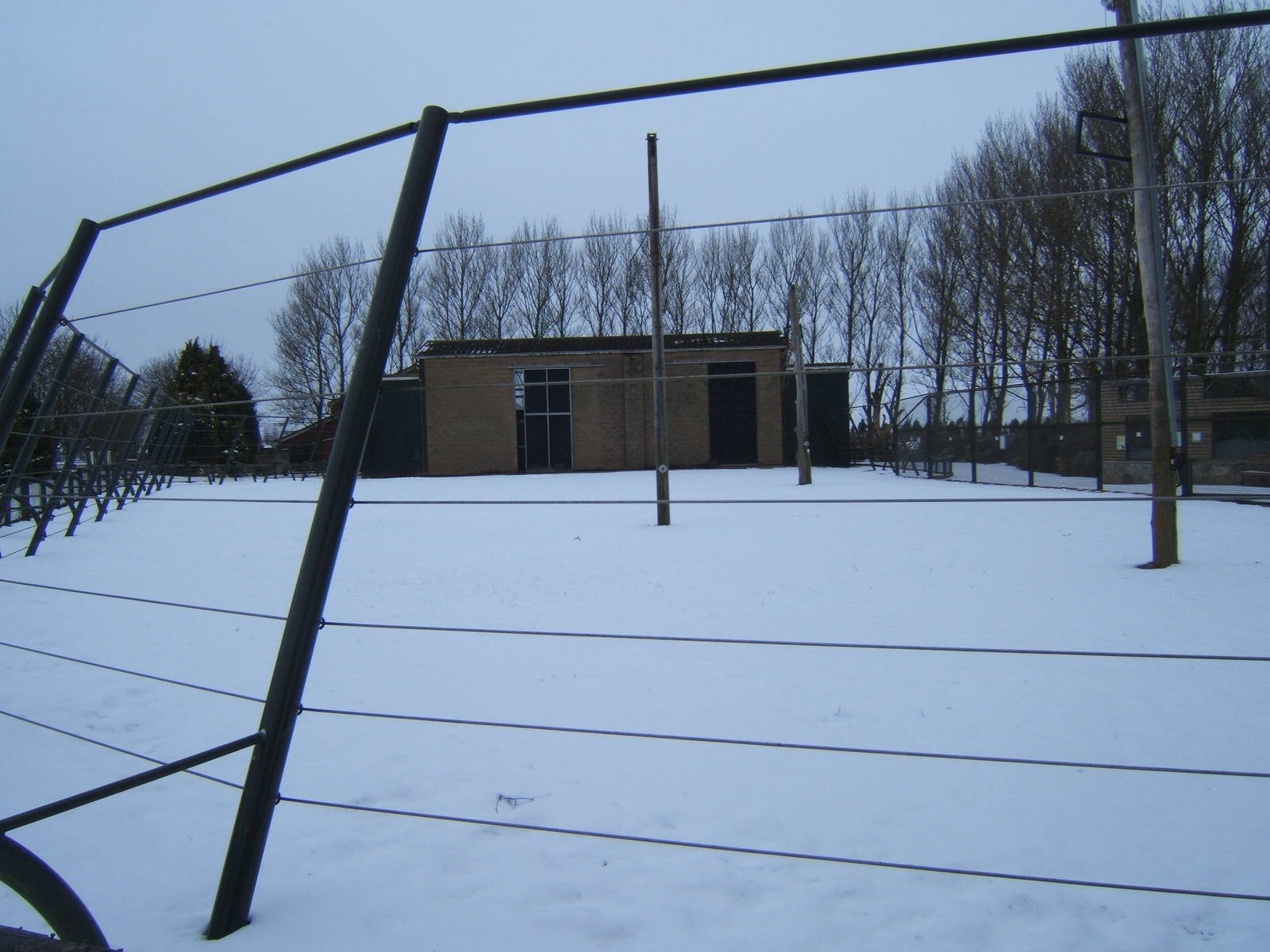 Giraffe House in the snow