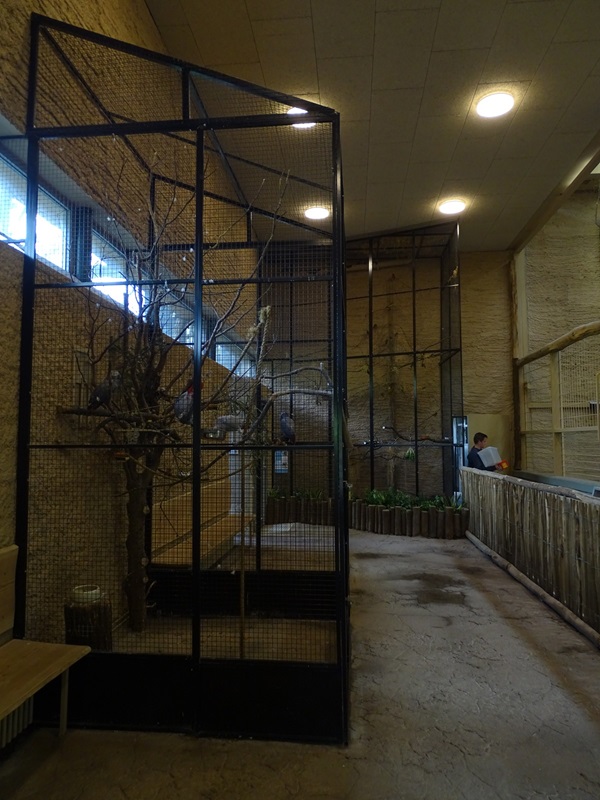 Giraffe house: indoor aviaries