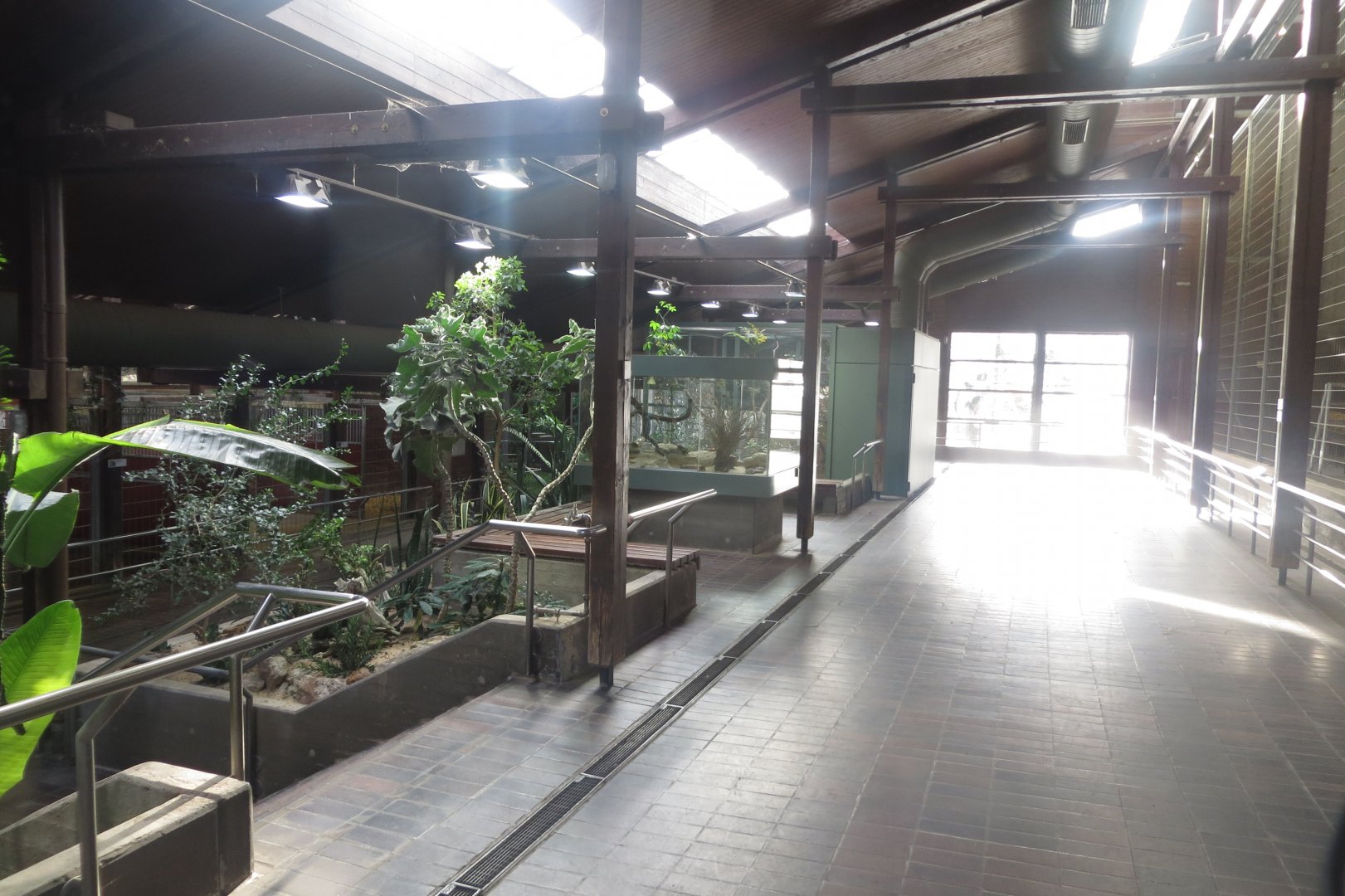 Giraffe House indoors 011218