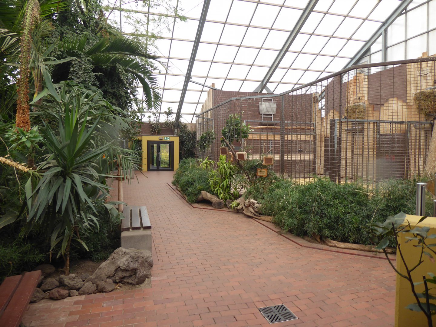 Giraffe House indoors 021219