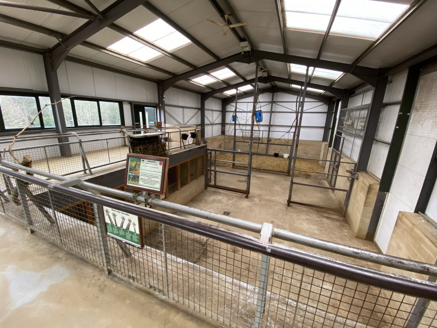Giraffe House indoors 280222