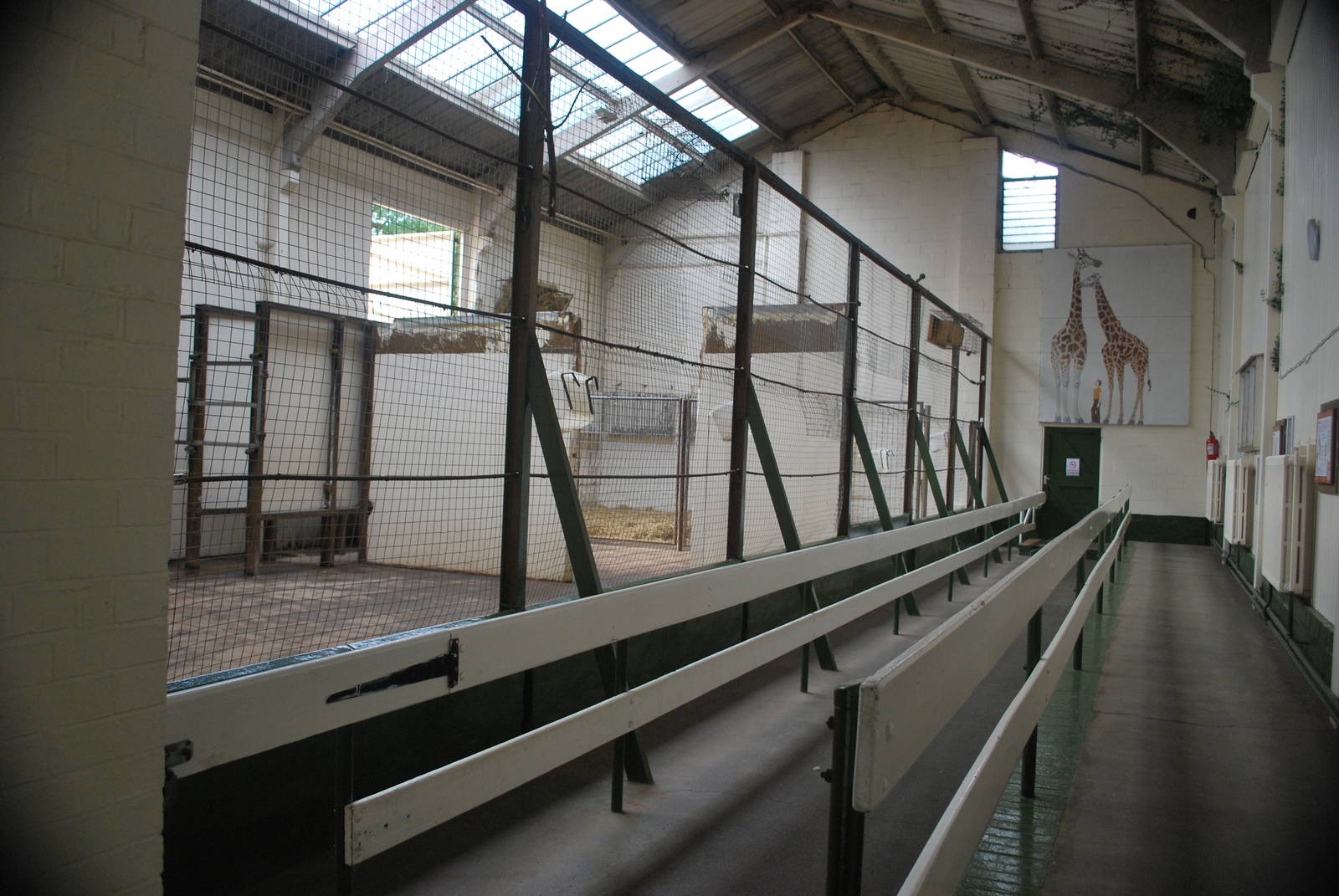 giraffe house inside