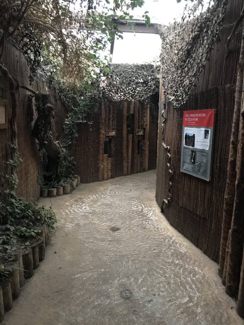 Giraffe House interior 261019