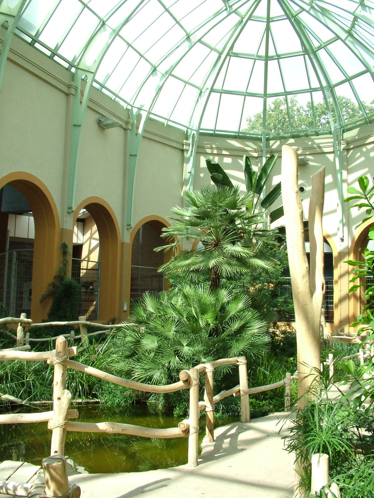 Giraffe House Interior at Berlin Zoo, 31/08/11