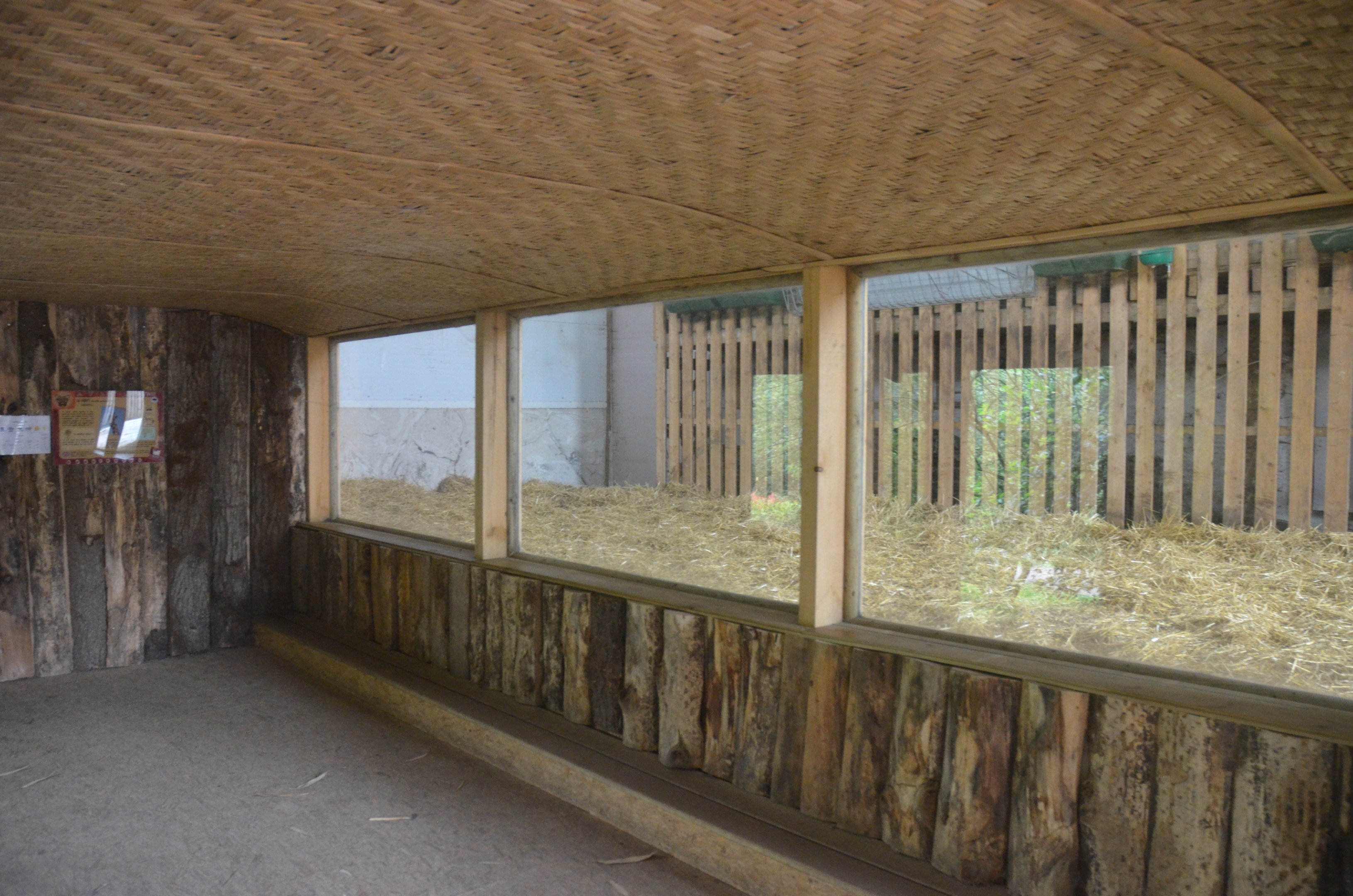 Giraffe House Interior at CERZA, 10/06/18