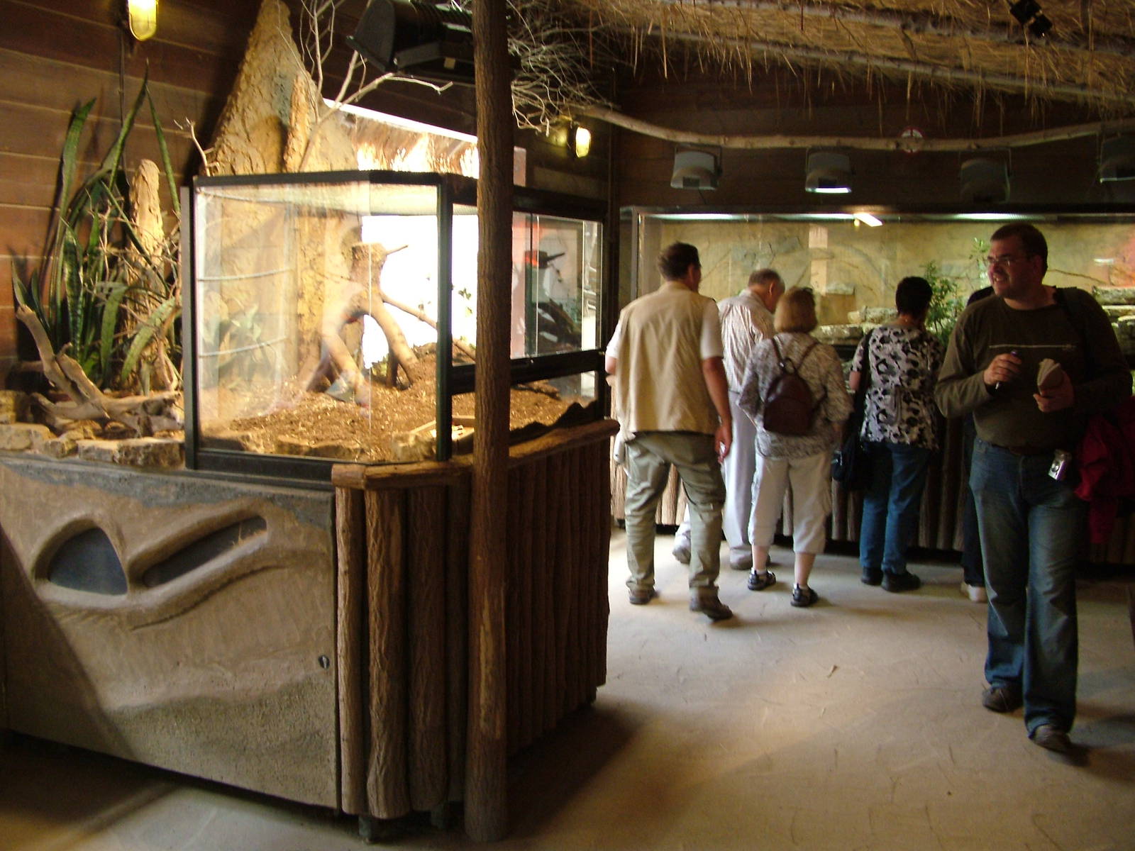 Giraffe House Interior at Leipzig, 02/09/11