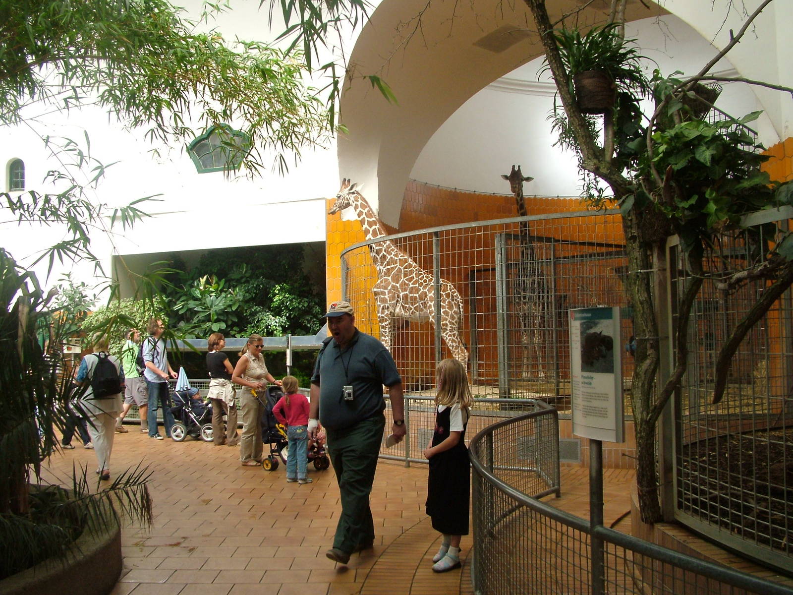 Giraffe house interior at Munich Zoo 2006