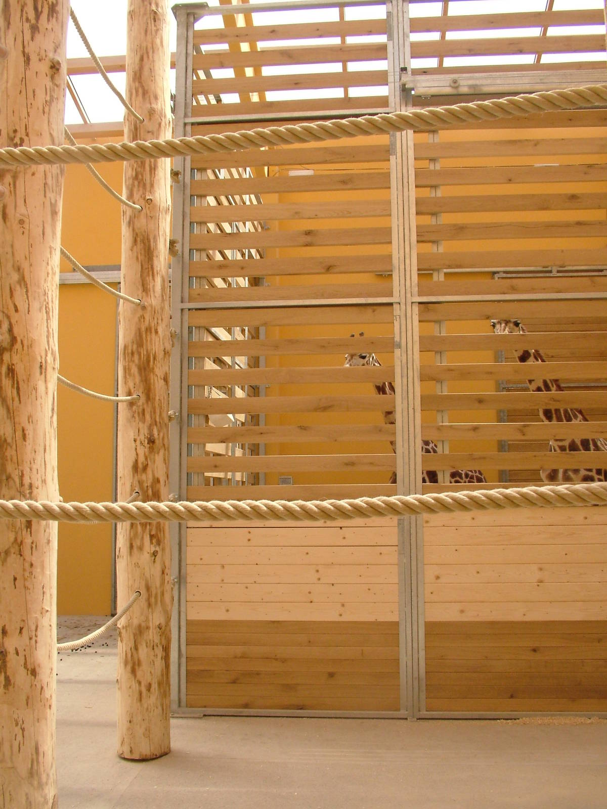 Giraffe House interior at Plzen, 25/05/10