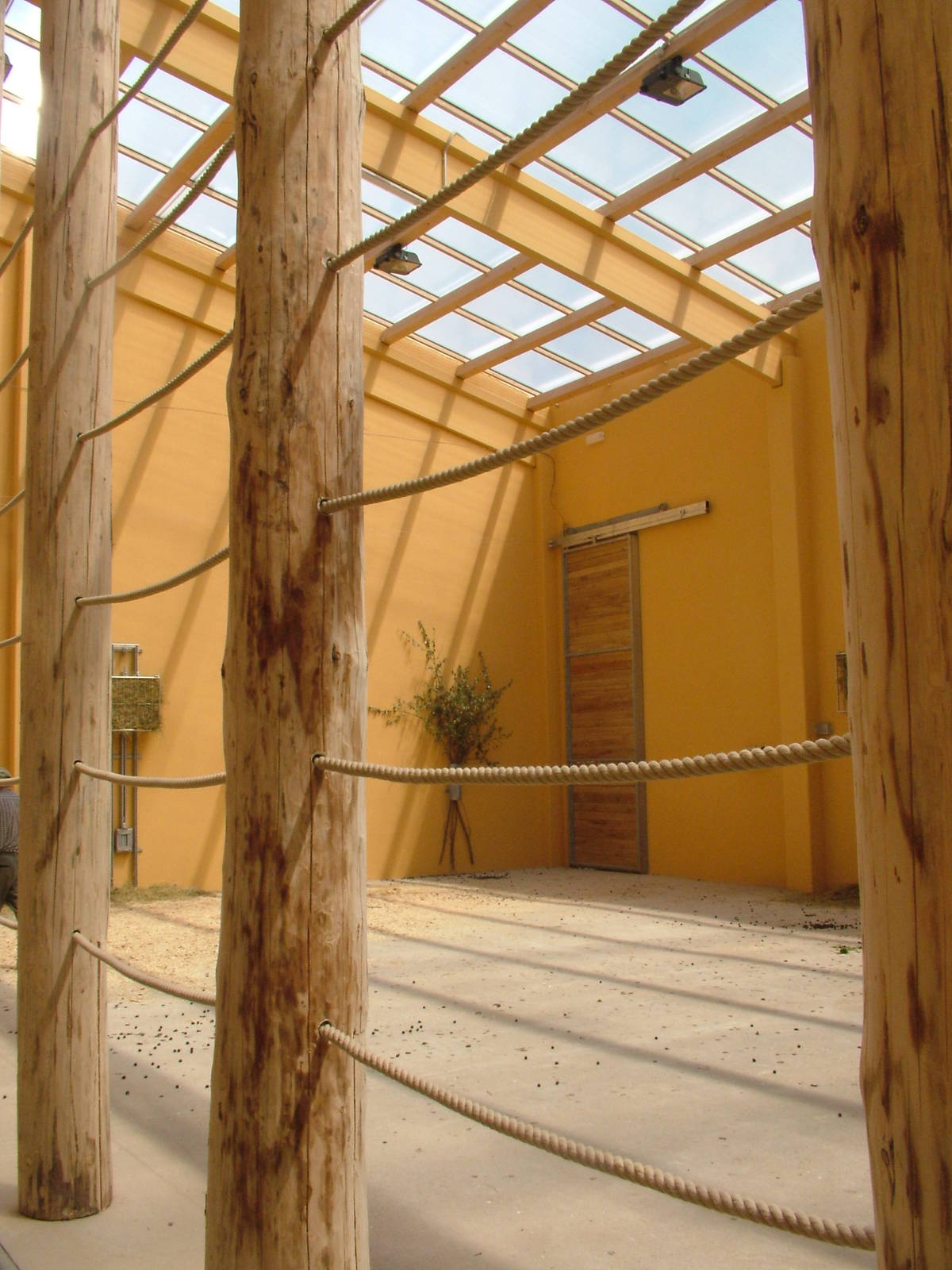 Giraffe House interior at Plzen, 25/05/10