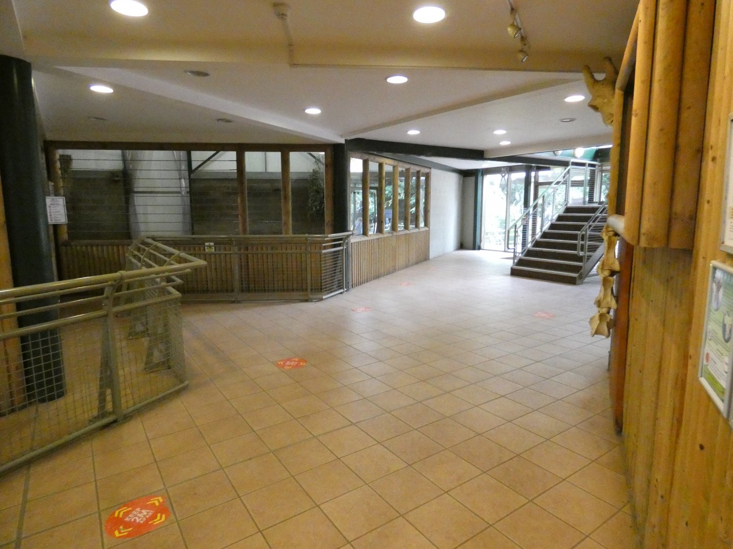 Giraffe house lower viewing area