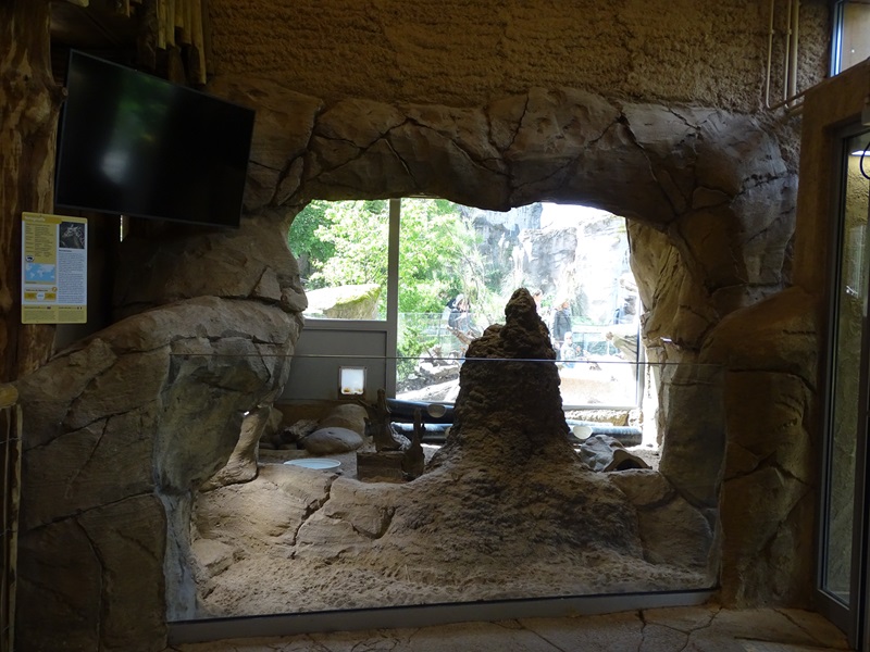 Giraffe House: Meerkat indoor enclosure