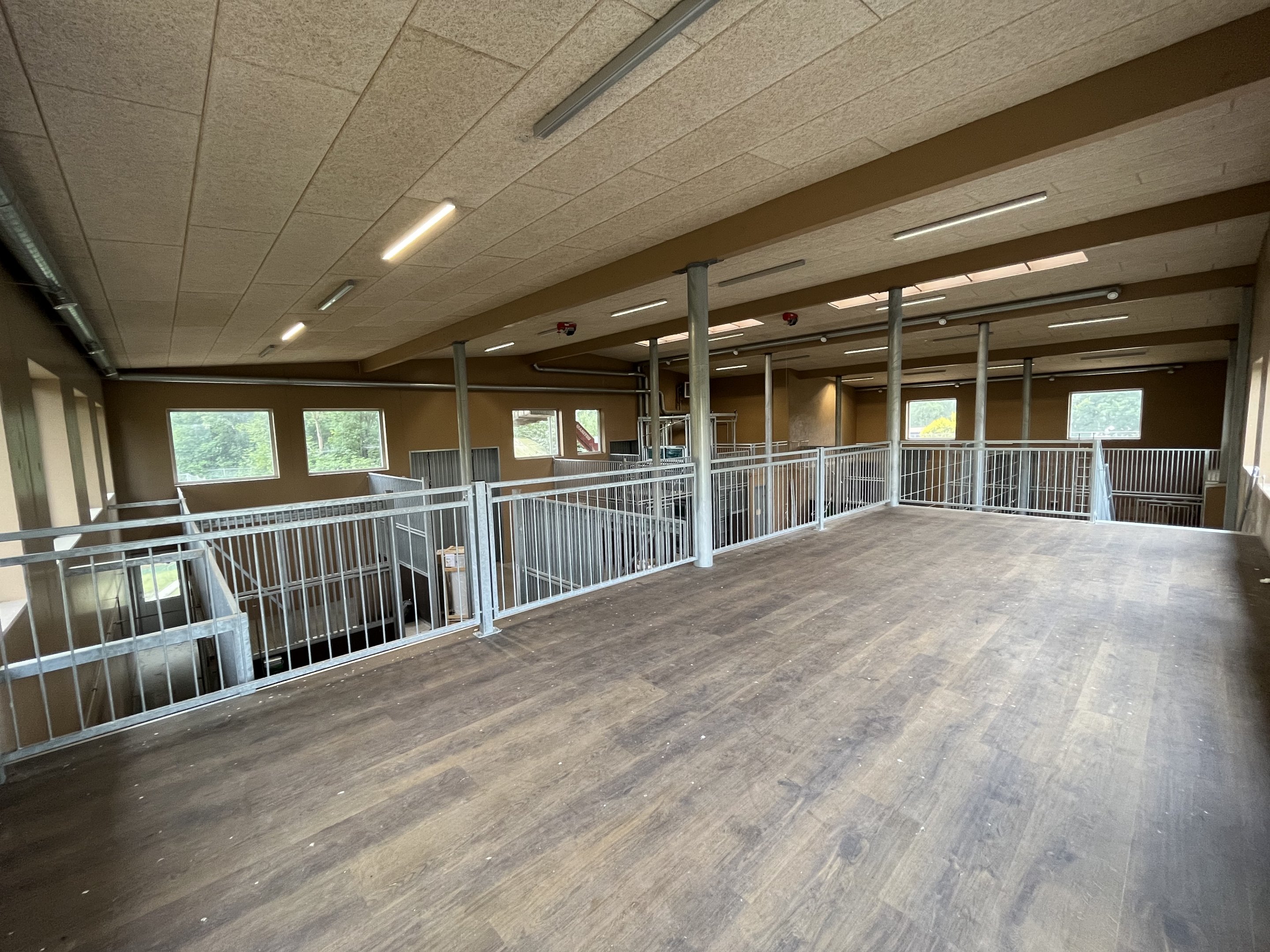 Giraffe House - New in 2022