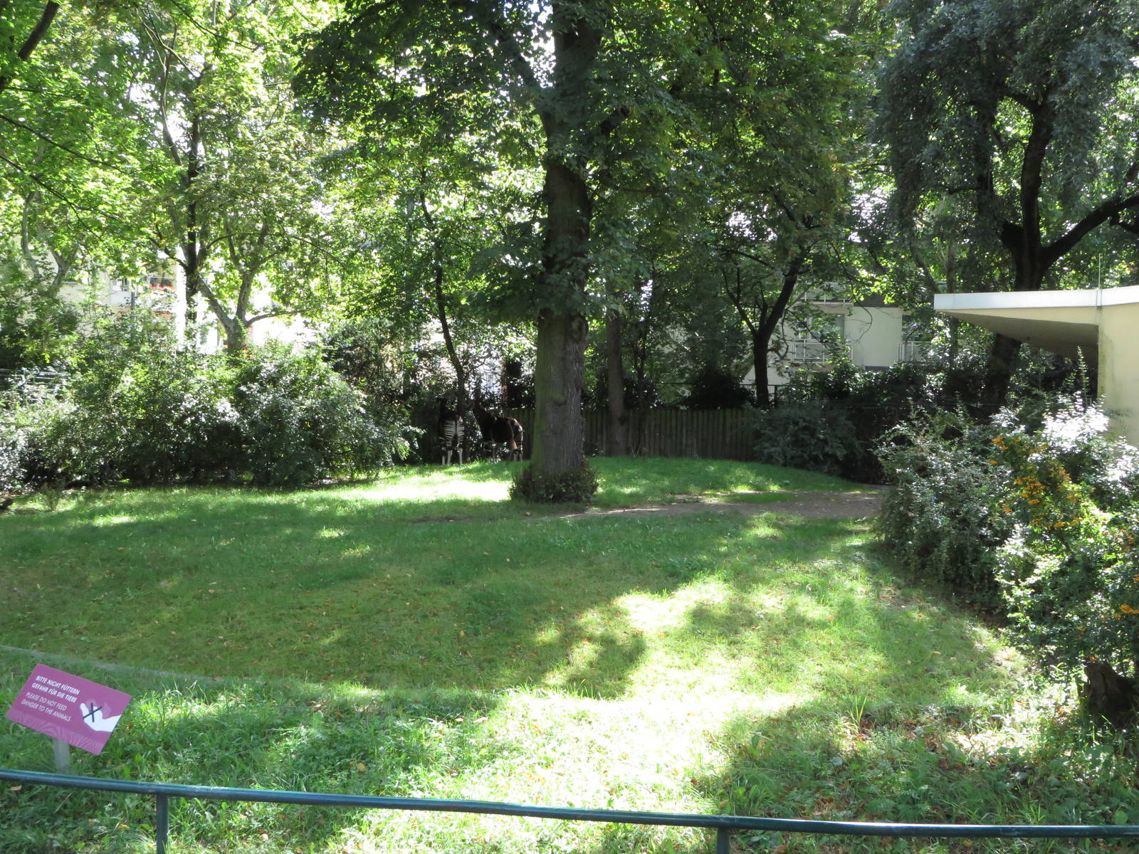 Giraffe house - okapi outdoors