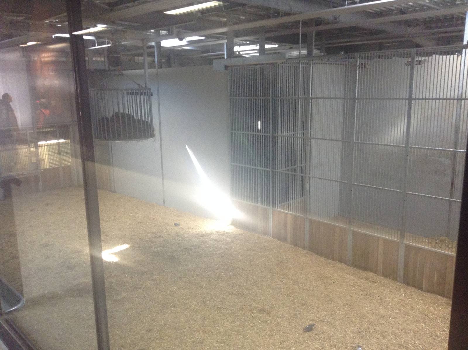 Giraffe House - Paris Zoo