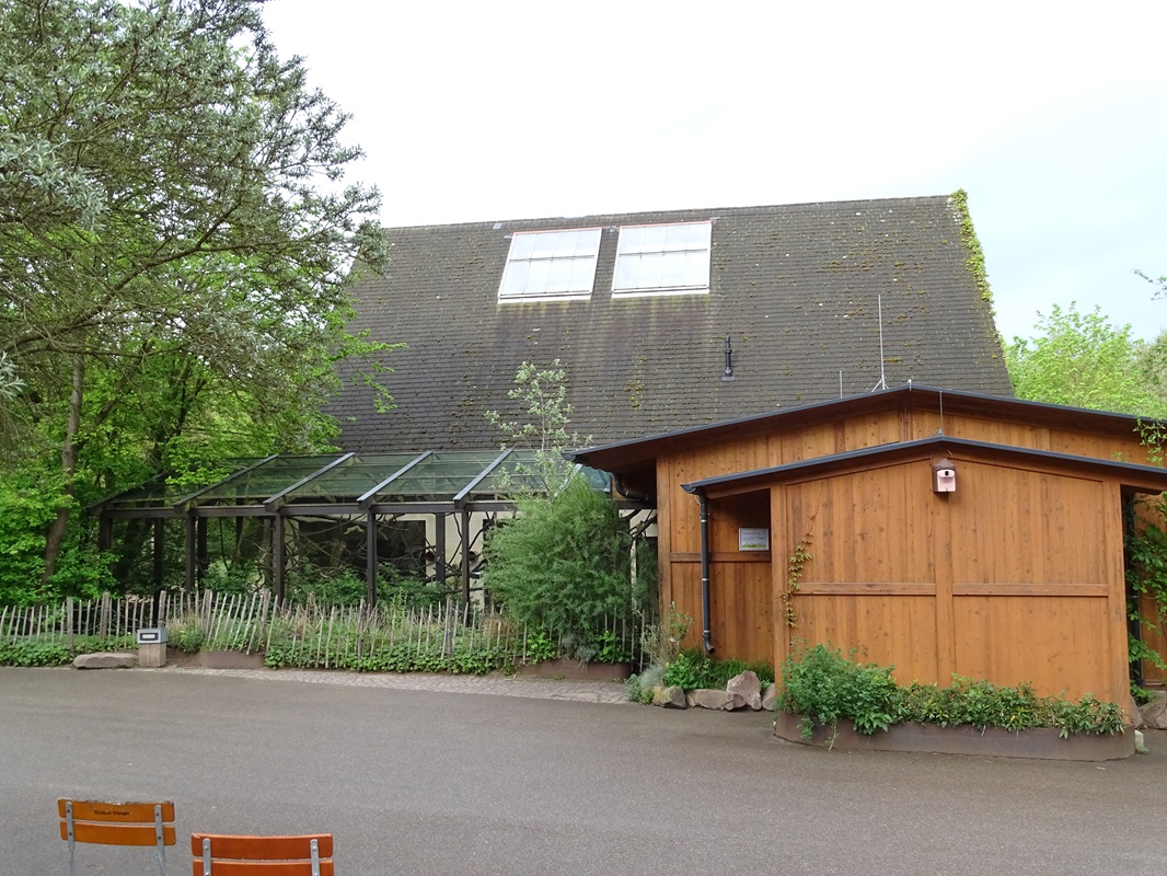 Giraffe House; squirrel monkey enclosure