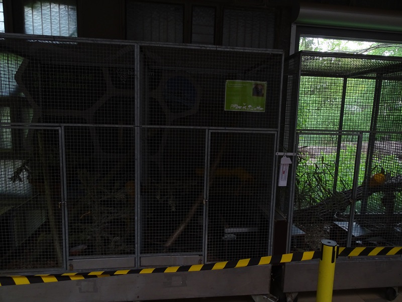 Giraffe House; striped weasel cages