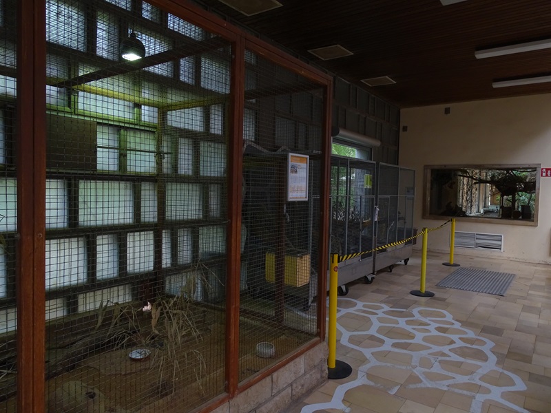 Giraffe House; Striped weasel indoor enclosures