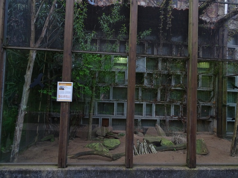 Giraffe House; Striped weasel outdoor enclosure