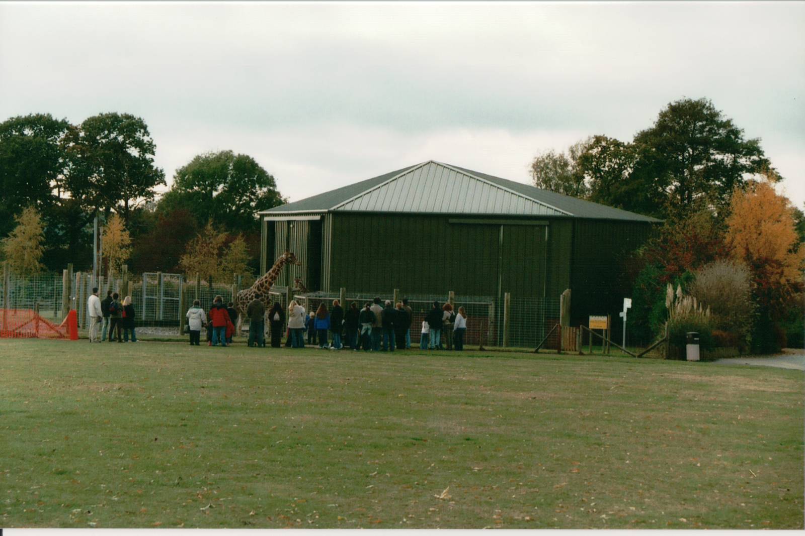 Giraffe House - Suffolk Wildlife Park
