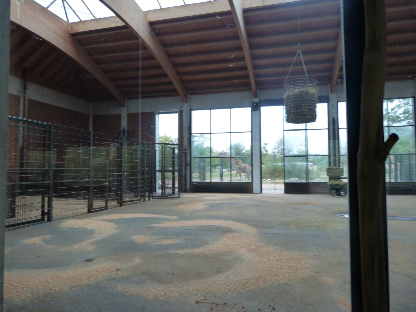 Giraffe house -Tierpark Berlin (2024)