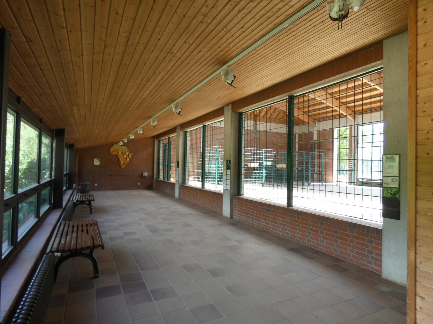 Giraffe House Viewing Area