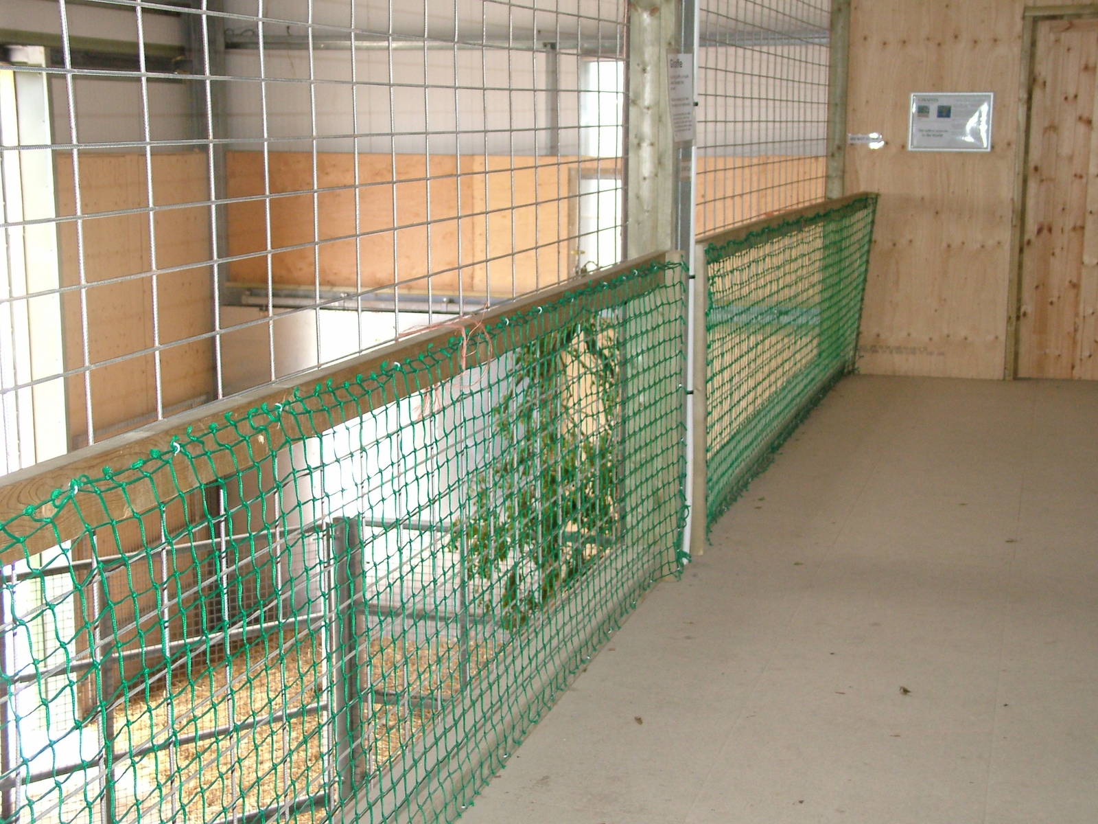 Giraffe House viewing at Noah's Ark Zoo Farm 2006