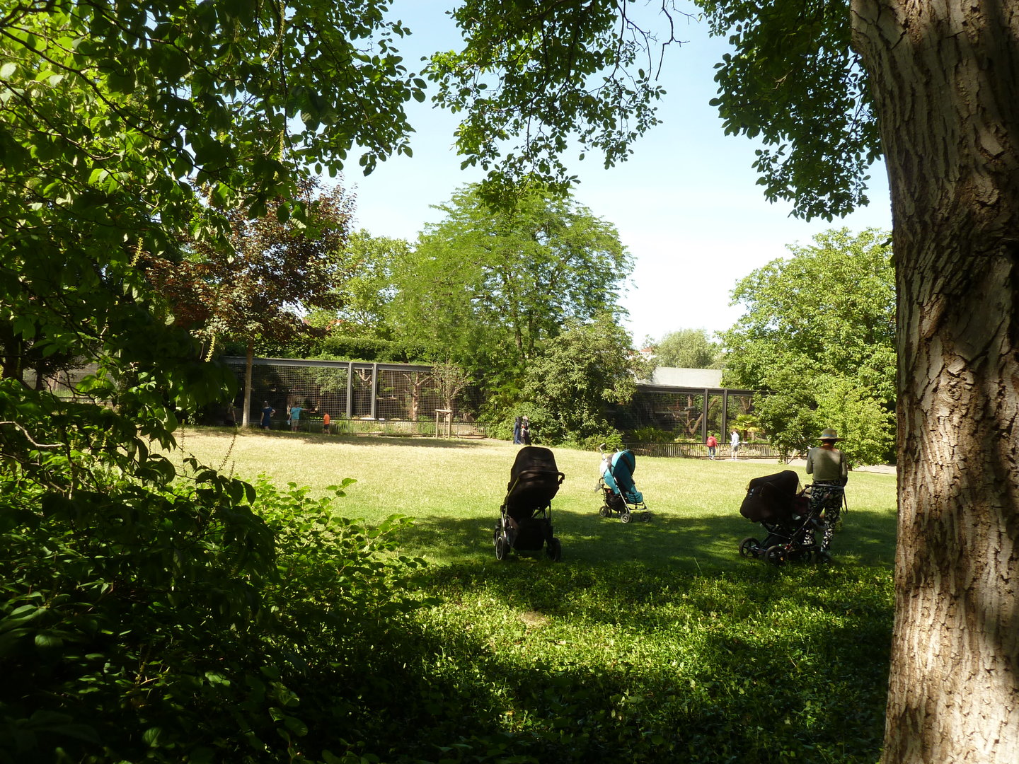 Giraffe house viewing point