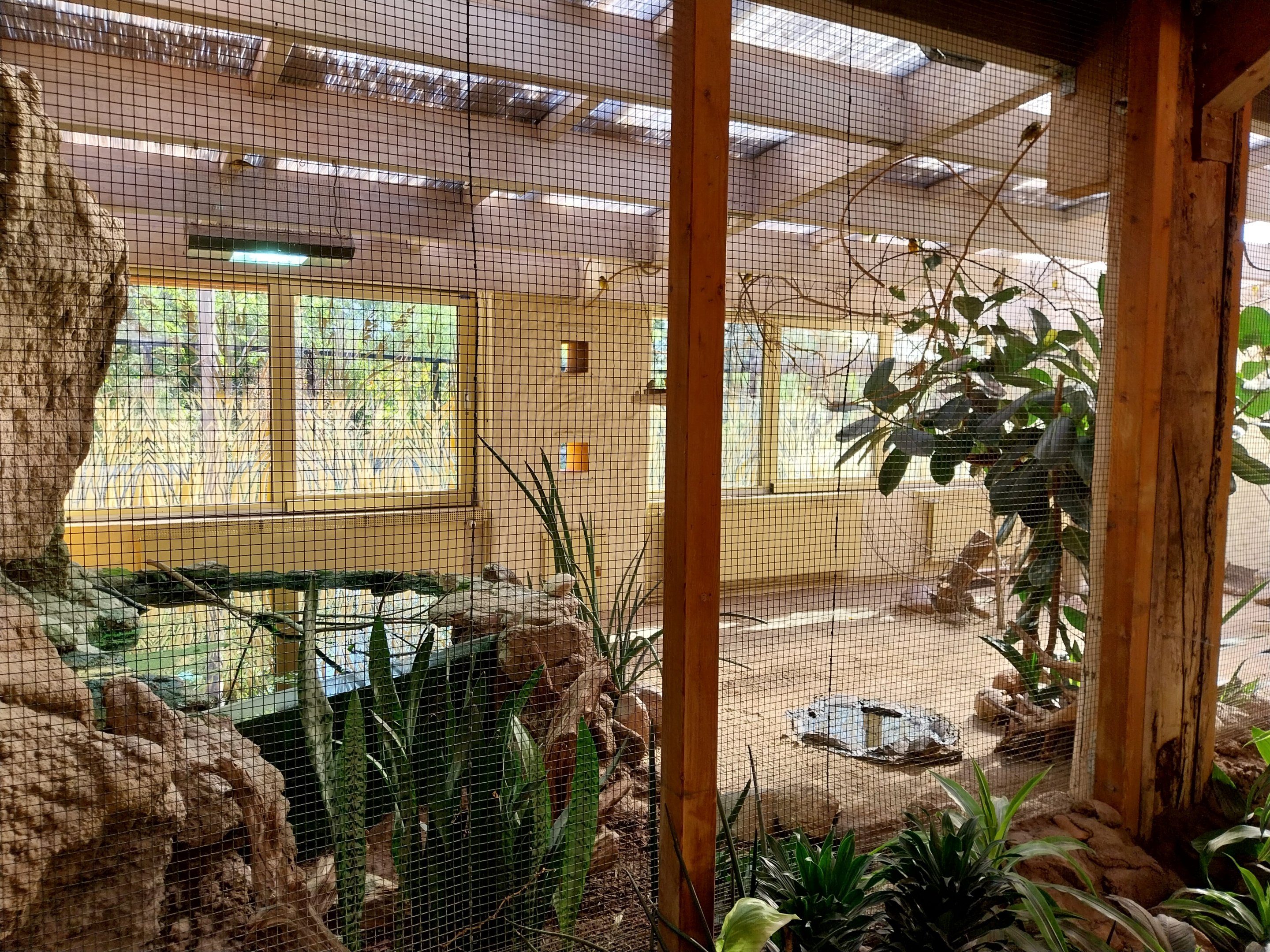 Giraffe House - Weaver aviary