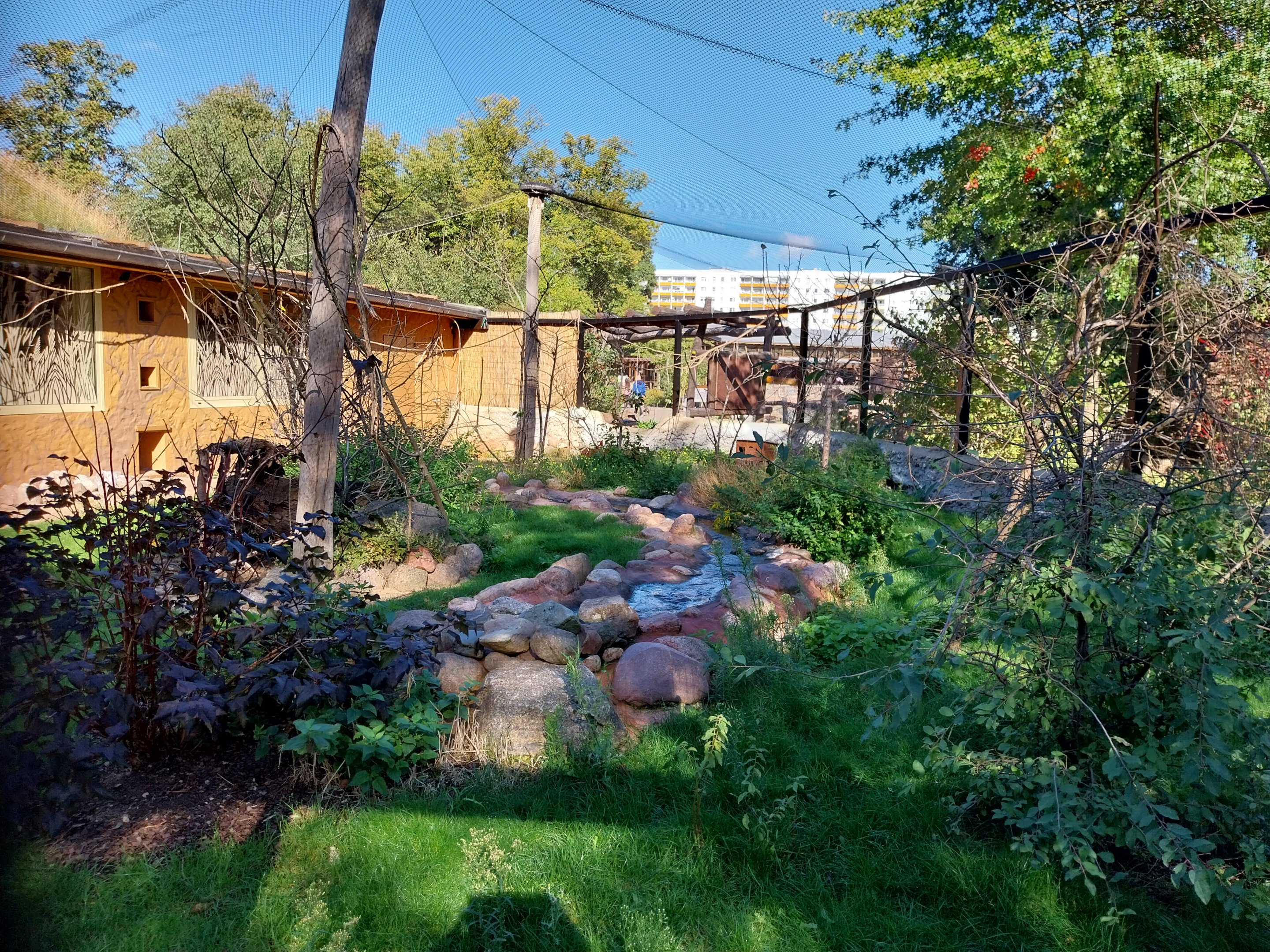Giraffe House - Weaver aviary