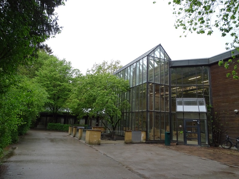 Giraffe House with meerkat enclosure
