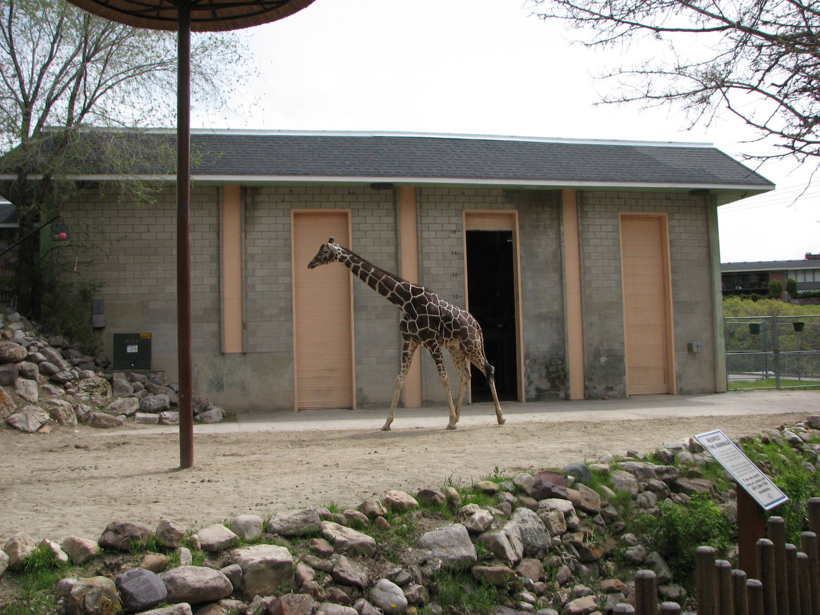 Giraffe House