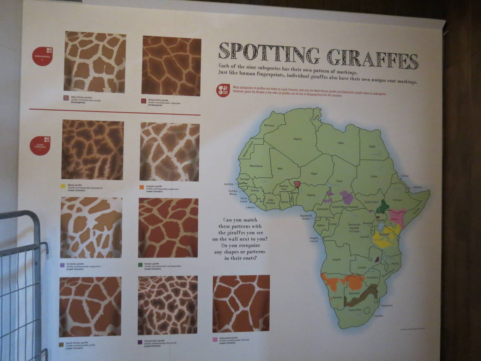 Giraffe House
