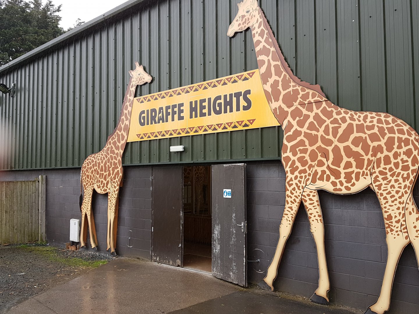 Giraffe house