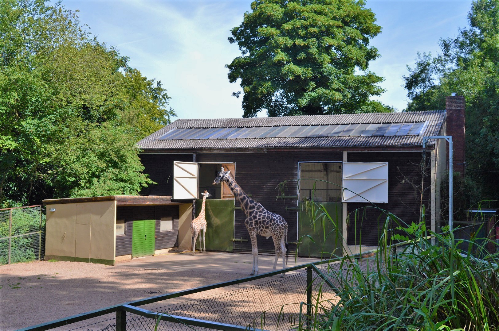Giraffe house