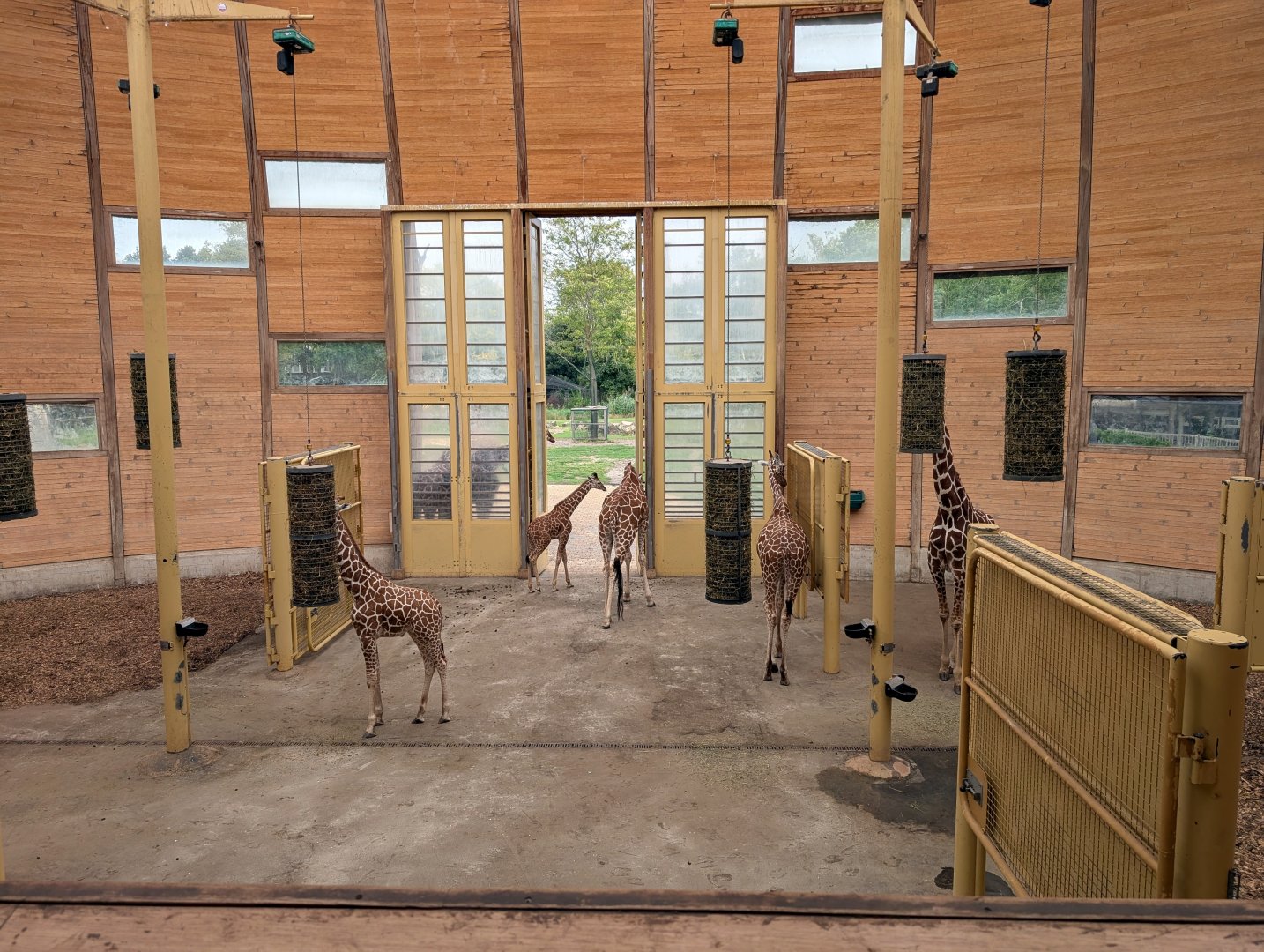 Giraffe House